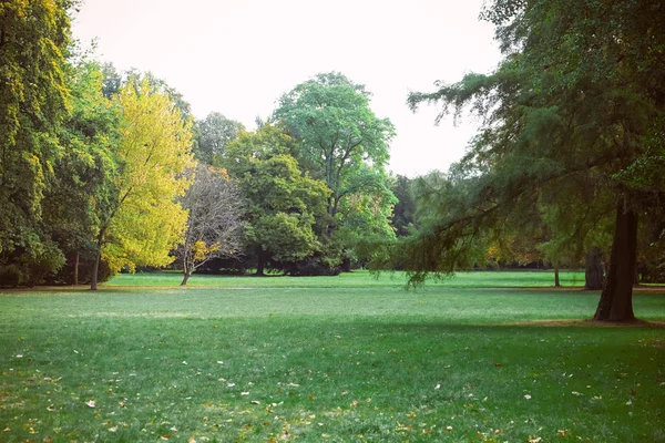 Vacker Park Med Grön Gräsmatta — Stockfoto