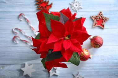 Ahşap masa süslemeleri ile Noel çiçek Atatürk çiçeği