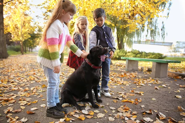 Niedliche Kleine Kinder Mit Hund Herbstpark — Stockfoto