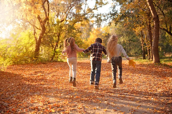 可爱的小孩在秋天的公园里玩得很开心 — 图库照片