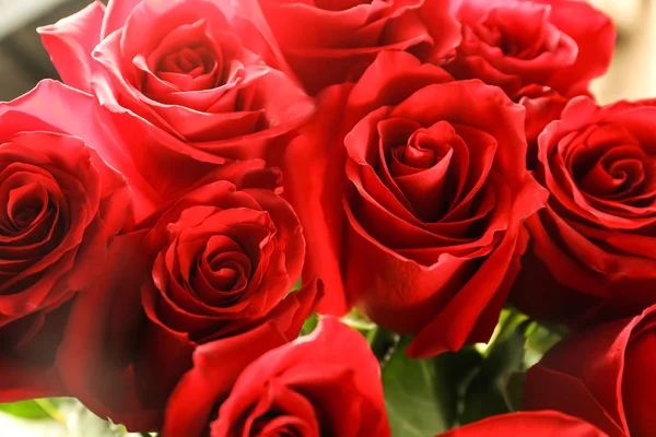 Букет Красивих Троянд Крупним Планом — стокове фото