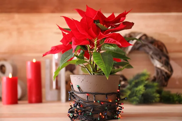 Рождественский Цветок Гирляндой Деревянном Столе — стоковое фото
