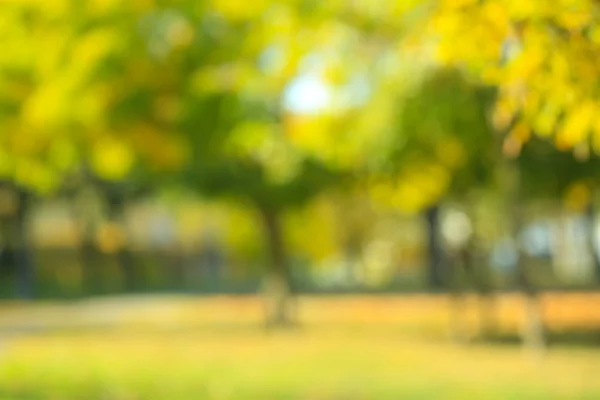 Blurred View Autumn Park — Stock Photo, Image