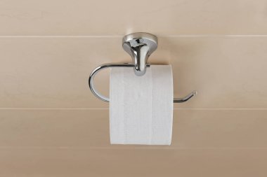 Rulo tuvalet kağıdı tuvalet içinde