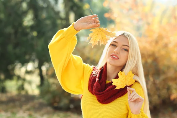 Beautiful Fashionable Woman Leaves Autumn Park — Stock Photo, Image