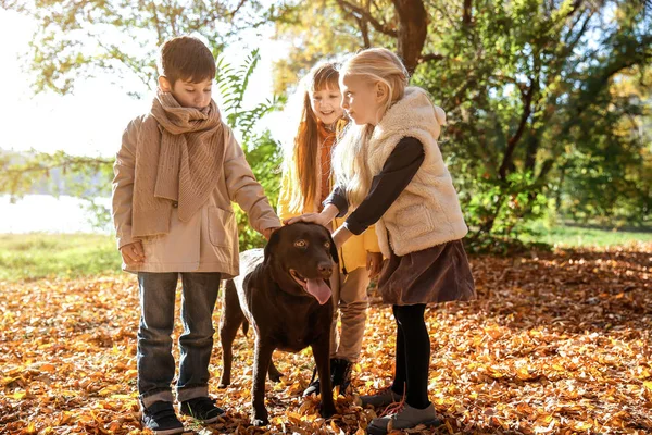 Crianças Pequenas Bonitos Com Cão Parque Outono — Fotografia de Stock