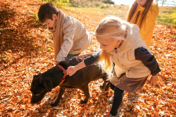 秋の公園で犬と一緒にかわいい子供たち — ストック写真