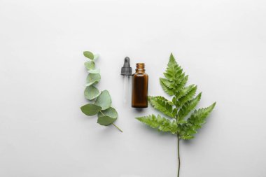 Şişe okaliptüs esans beyaz arka plan üzerinde