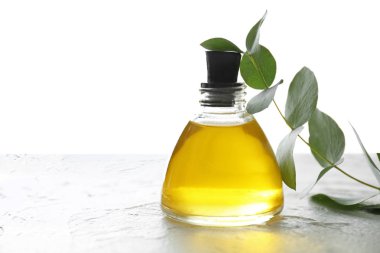 Okaliptüs esans beyaz arka plan karşı masada şişe