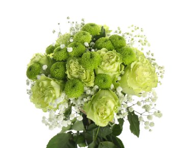 Güzel buket beyaz zemin üzerine yeşil çiçek