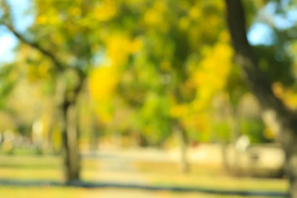 Blurred View Autumn Park — Stock Photo, Image