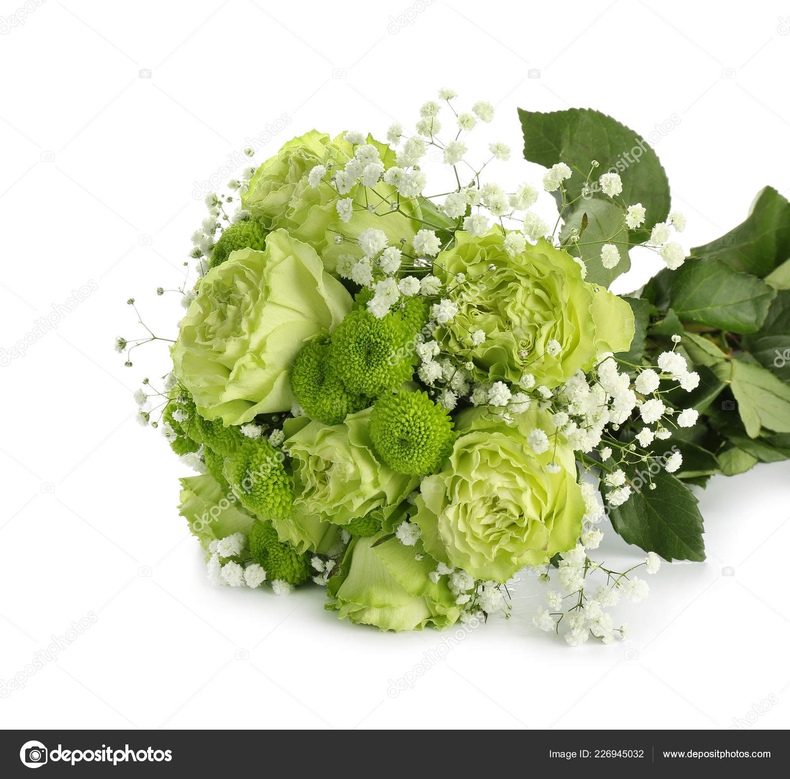 Beau Bouquet Fleurs Vertes Sur Fond Blanc Photographie