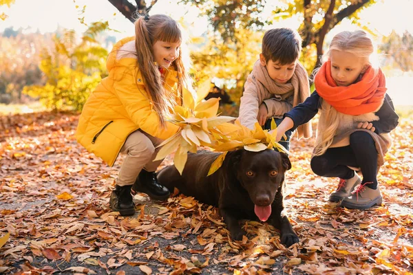 秋の公園で犬と一緒にかわいい子供たち — ストック写真