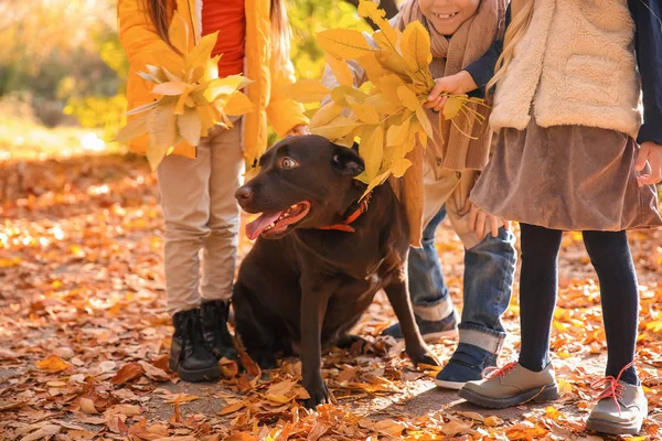 Cute Little Children Dog Autumn Park — Stock Photo, Image