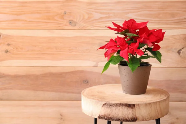 Boże Narodzenie Poinsettia Kwiat Drewnianym Stole — Zdjęcie stockowe