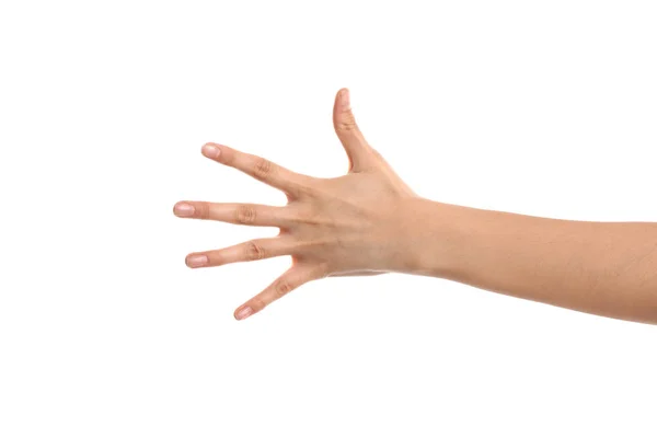 Weibliche Hand Auf Weißem Hintergrund — Stockfoto