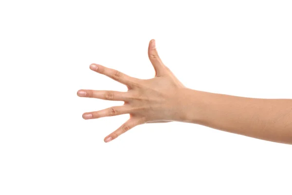 Vrouwelijke Hand Witte Achtergrond — Stockfoto