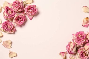 Güzel kuru gül beyaz arka plan üzerinde