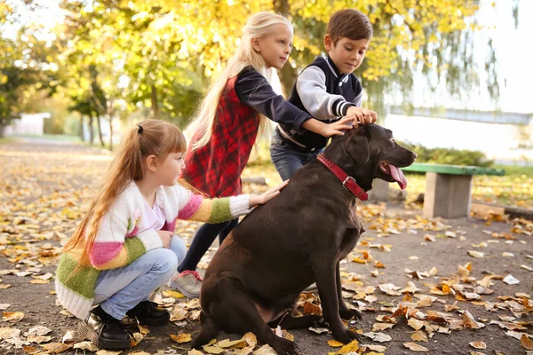 Crianças Pequenas Bonitos Com Cão Parque Outono — Fotografia de Stock