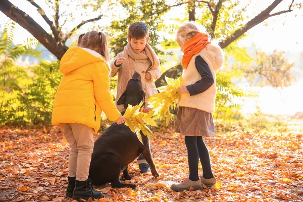 秋の公園で犬と一緒にかわいい子供たち — ストック写真