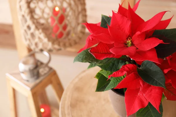 Рождественский Цветок Деревянном Столе — стоковое фото