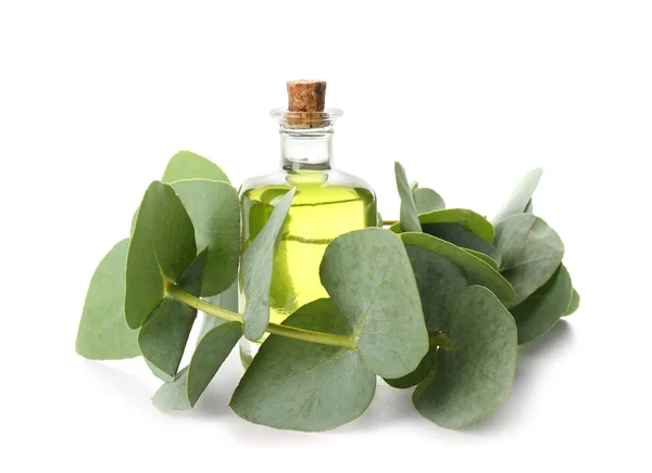 Bottle Eucalyptus Essential Oil White Background — Stock Photo, Image