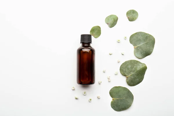 Bottle Eucalyptus Essential Oil White Background — Stock Photo, Image