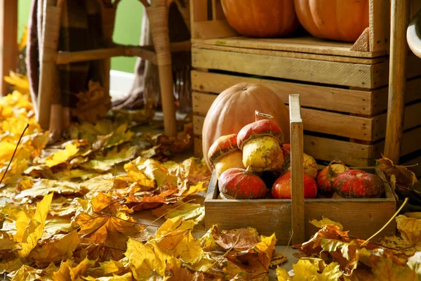 Whole Fresh Pumpkins Autumn Leaves Floor — Stock Photo, Image