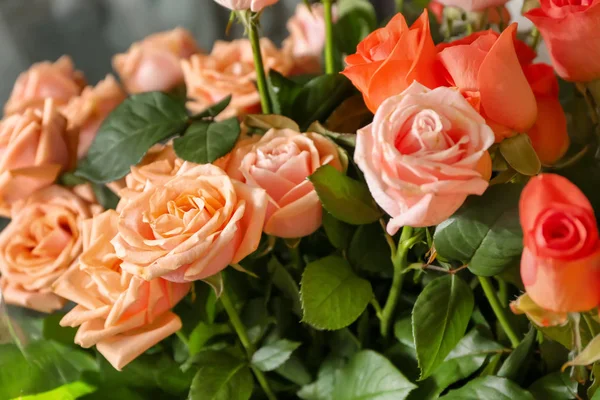 Plenty Beautiful Roses — Stock Photo, Image