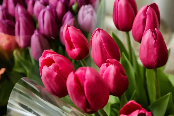 Bukiet Pięknych Tulipanów Sklepie — Zdjęcie stockowe