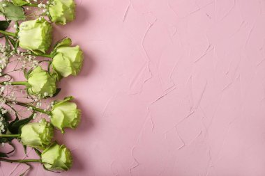 Güzel yeşil gül renkli arka plan üzerinde