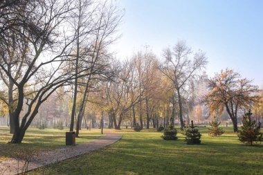 Sonbahar park görünümünü