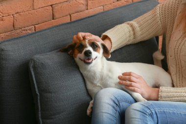 Ev sahibi ile şirin kriko Rusya korkunç
