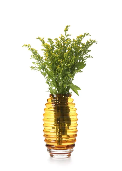 Beautiful Flowers Glass Vase White Background — Stock Photo, Image