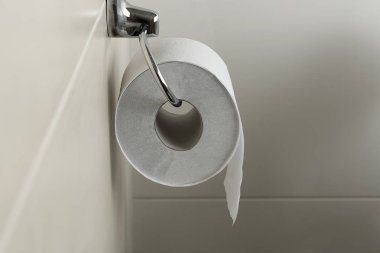 Rulo tuvalet duvarındaki yumuşak tuvalet kağıdı ile sahibi