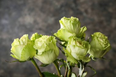 Güzel gri arka plan üzerinde yeşil gül buketi