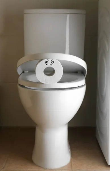Kertas Lembut Lucu Pada Mangkuk Toilet Kamar Kecil — Stok Foto