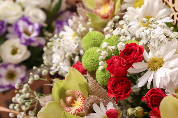 Bouquet Beautiful Flowers — Stock Photo, Image