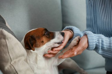 Ev sahibi ile şirin kriko Rusya korkunç