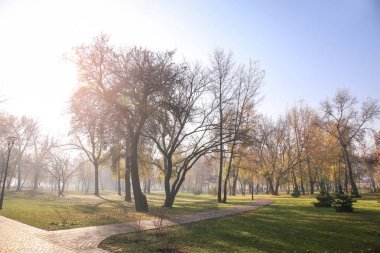 Sonbahar park görünümünü