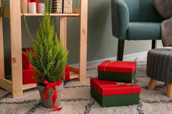 Cypress Tree Christmas Gifts Floor Room — Stock Photo, Image