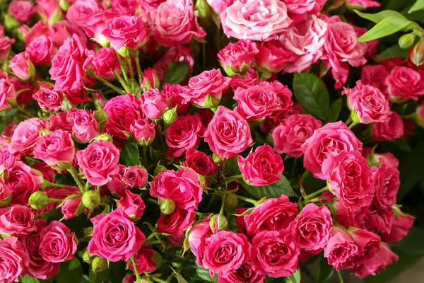 Beautiful Pink Roses Background — Stock Photo, Image