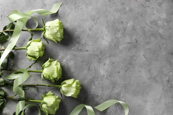 Beautiful Green Roses Grey Background — Stock Photo, Image