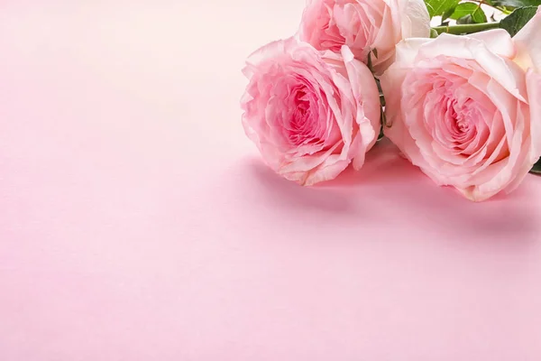 Hermoso Ramo Rosas Sobre Fondo Color — Foto de Stock