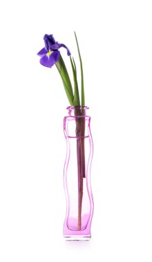 Cam vazoda beyaz arka plan üzerinde güzel çiçek