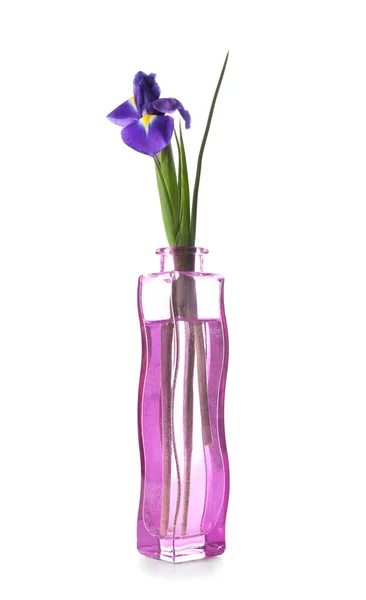 白い背景の上にガラス花瓶の美しい花 — ストック写真