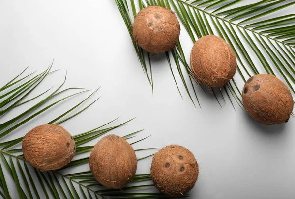 Maturare Noci Cocco Foglie Palma Sfondo Chiaro — Foto Stock