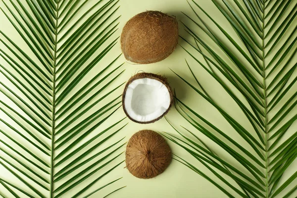 배경에 코코넛 야자와야자 — 스톡 사진
