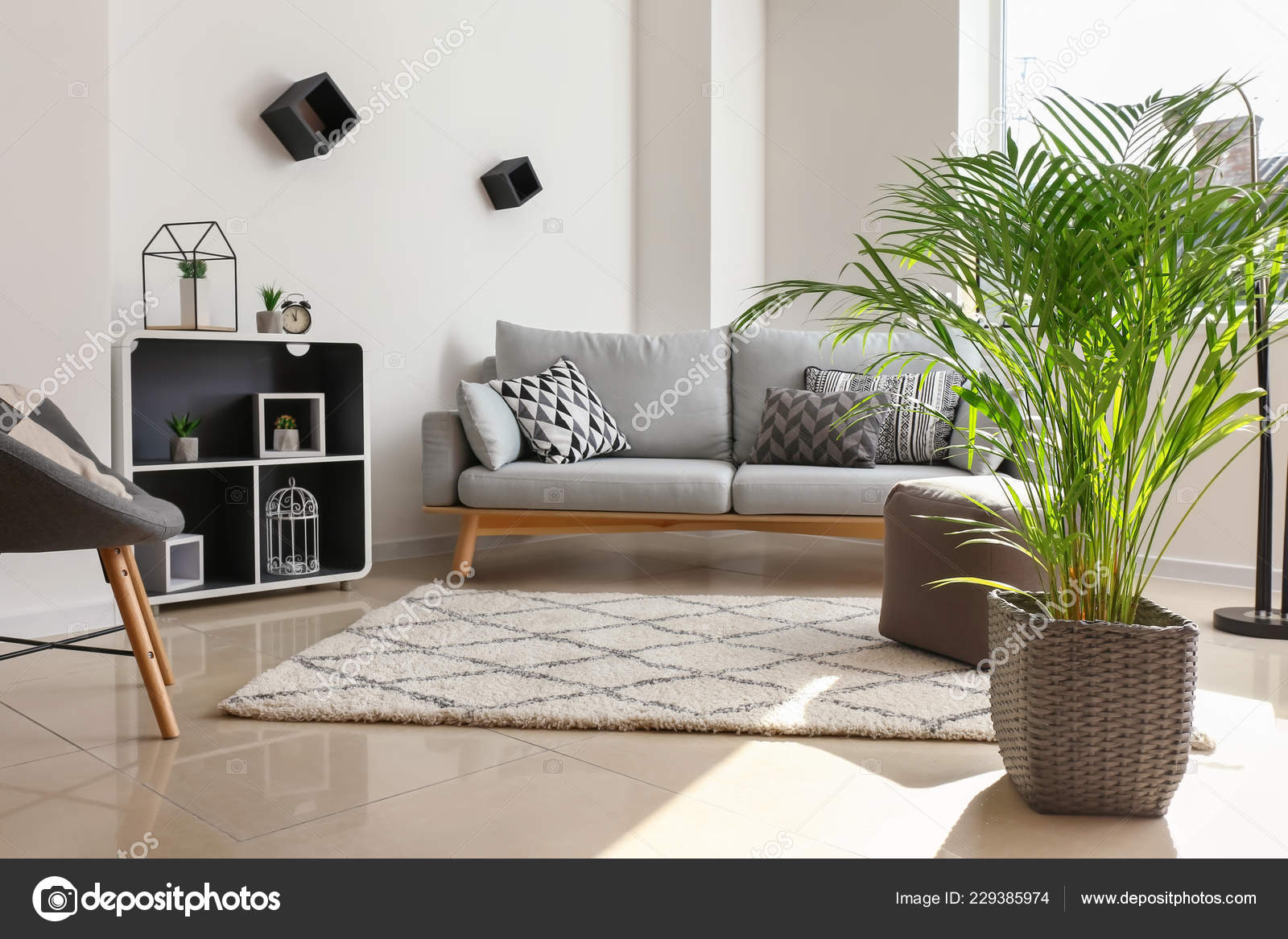 Decorative Areca Palm Interior Room Stock Photo Serezniy 229385974 Decorative Areca Palm In Interior Of Room Stock Image