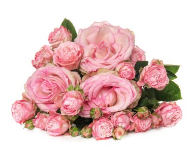 Beyaz arka planda güzel bir buket gül